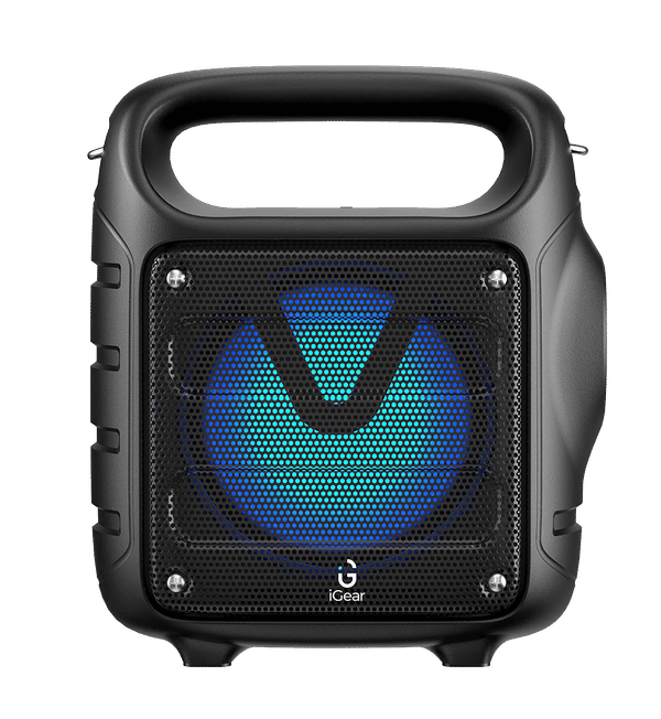 Buy iGear Camo 10W Portable Bluetooth Speaker Built in FM